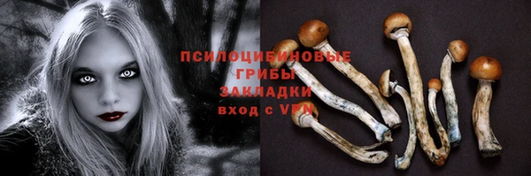 спайс Томск
