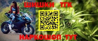 СК Камышлов