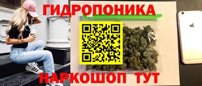 ПСИЛОЦИБИНОВЫЕ ГРИБЫ Кандалакша