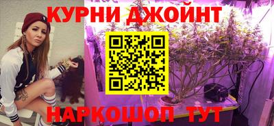 шишки Канаш