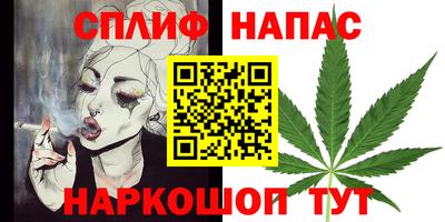СК Камышлов