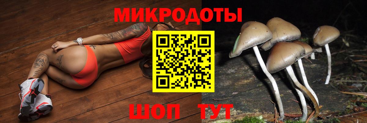 Галлюциногенные грибы Psilocybine cubensis  как найти   Луховицы  Вход с VPN 